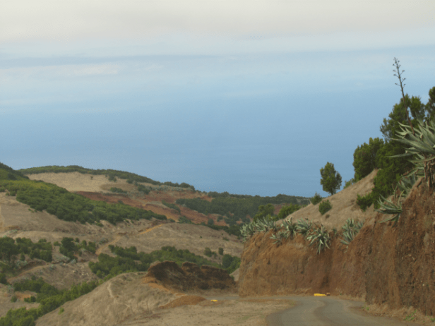 Carretera árbol garoé