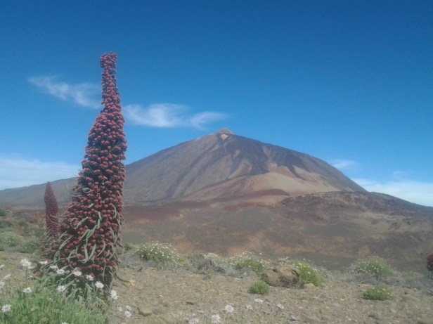 2014-06-12 11.10.46.jpg