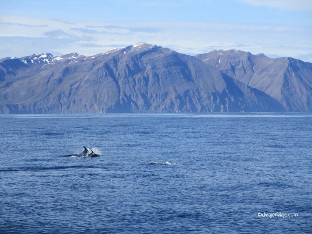 IMG_4061 - copia.JPG