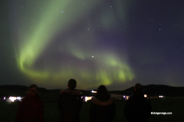 IMG_7990 - copia.JPG